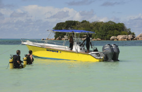 Octopus Diver Praslin