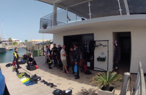 Dive Tribe Sao Vincente