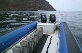 Sub Tropic Adventures