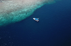 Extra Divers Virgin Cocoa