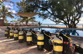 Liquid Dive Adventures